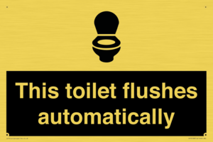 This toilet flushes automatically